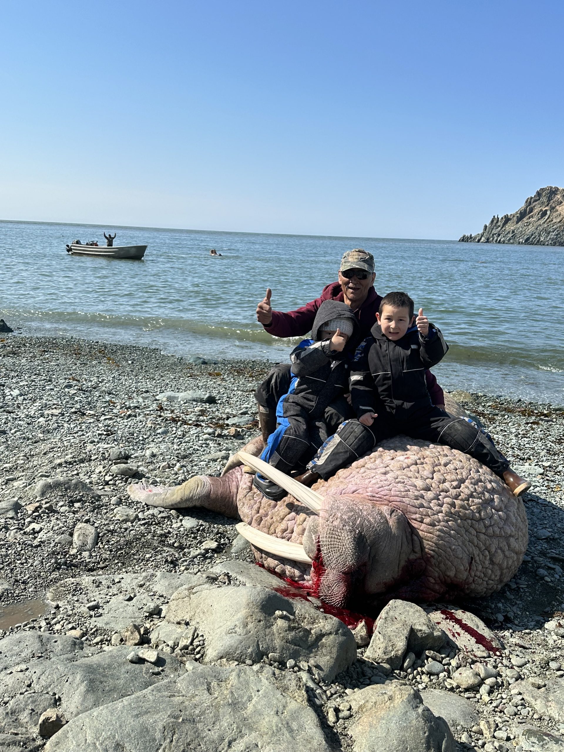 Walrus subsistence hunting in Goodnews Bay, Alaska